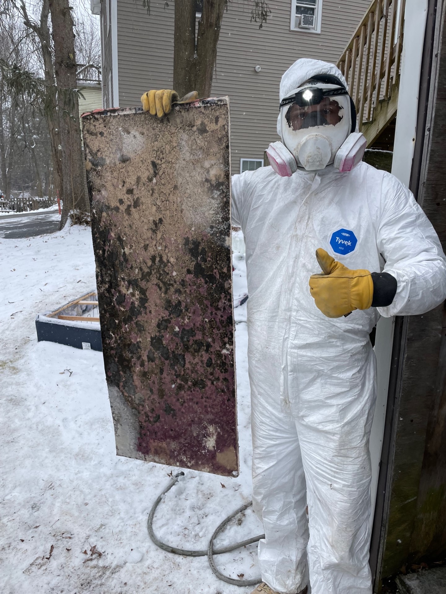 Prorestore mold remediation