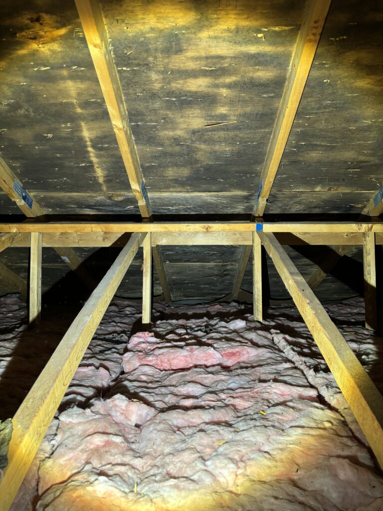 Attic Mold Worcester Massachusetts