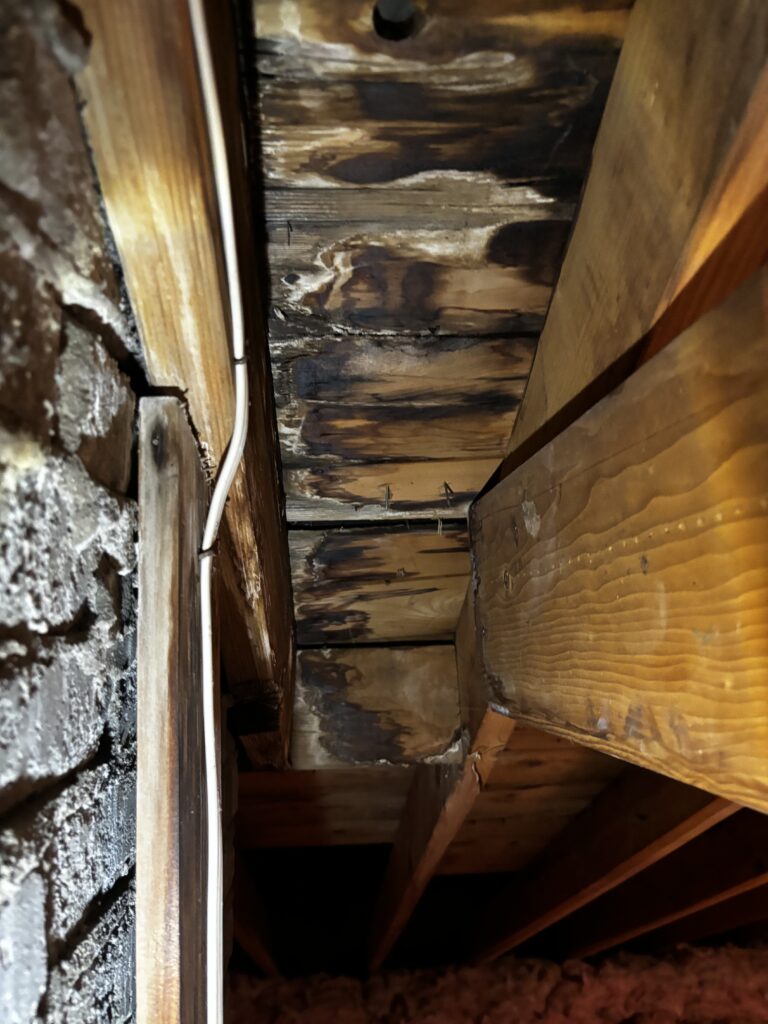 Attic mold
