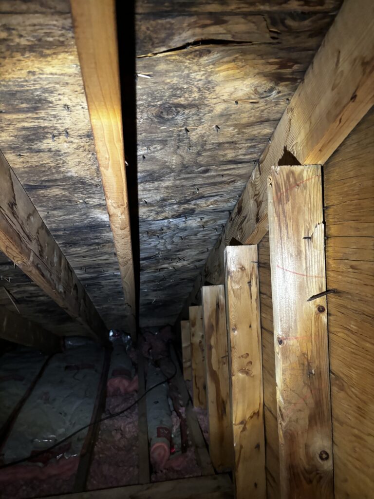 Attic mold remediation Massachusetts
