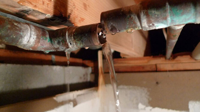 Mold removal pipe burst
