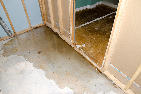 flooded basement mold removal