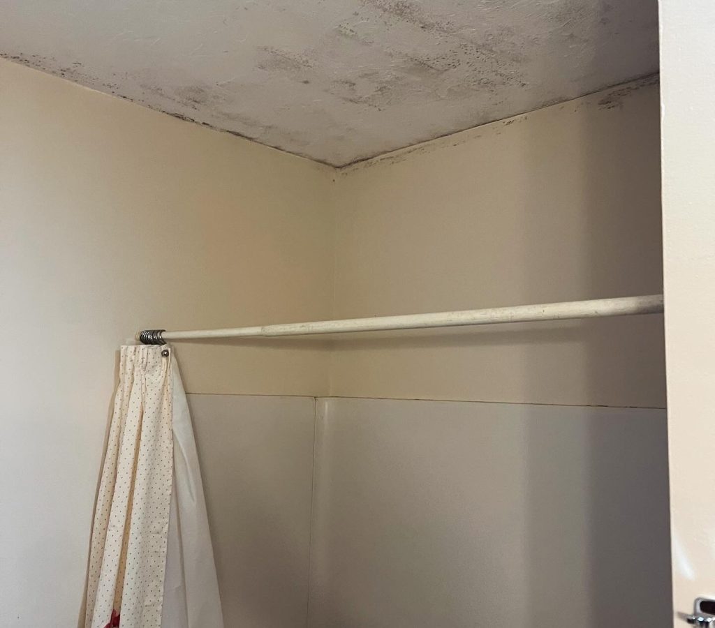 Bathroom Mold Worcester Ma Bathroom mold Worcester Massachusetts