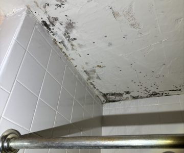 Bathroom Mold remediation Worcester MA