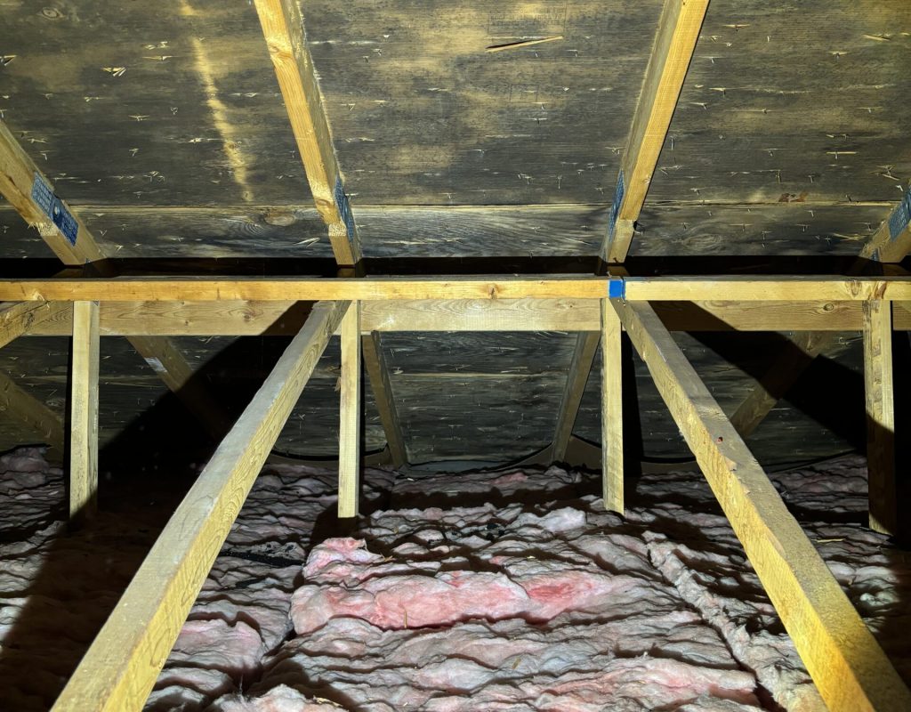 Attic Mold Worcester massachusetts Attic Mold Worcester Massachusetts