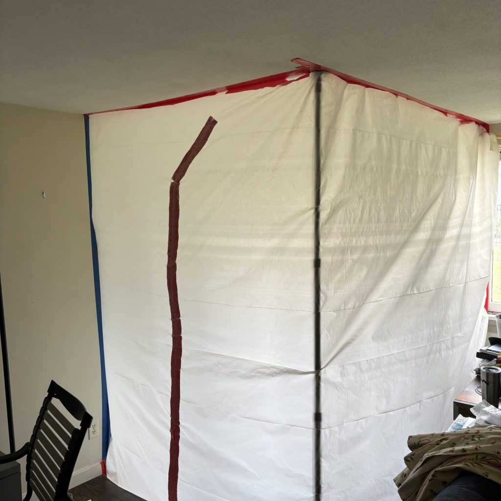 Mold remediation safety