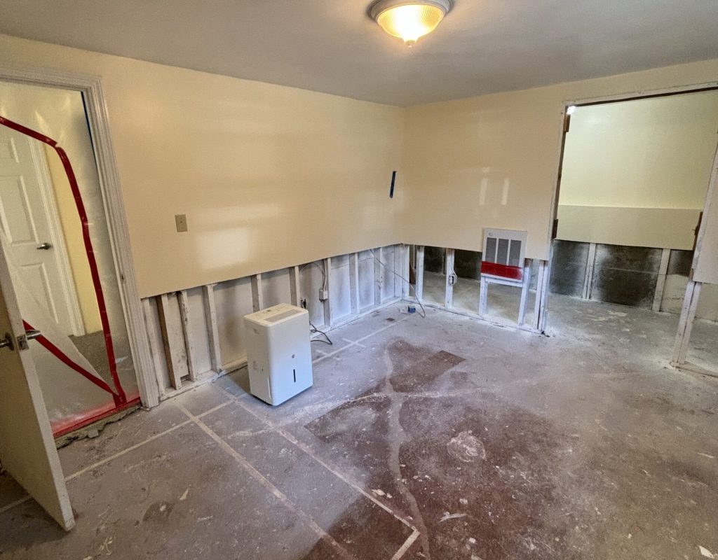 Basement mold Worcester Ma Basement mold Worcester Massachusetts
