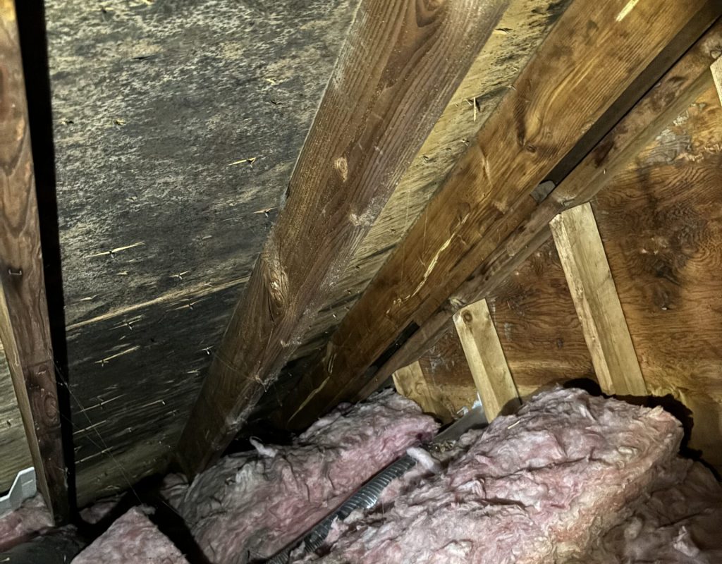 Attic mold Worcester Ma Attic mold Worcester Ma