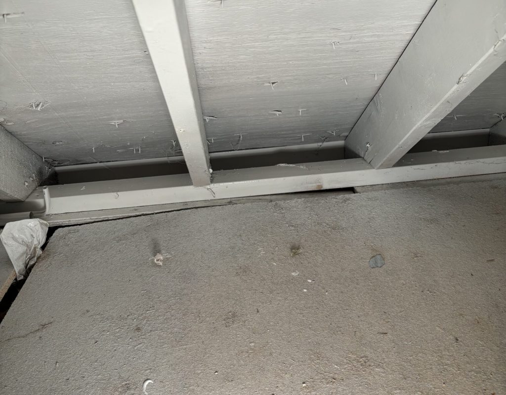 Attic mold Worcester Ma Attic mold Worcester Ma