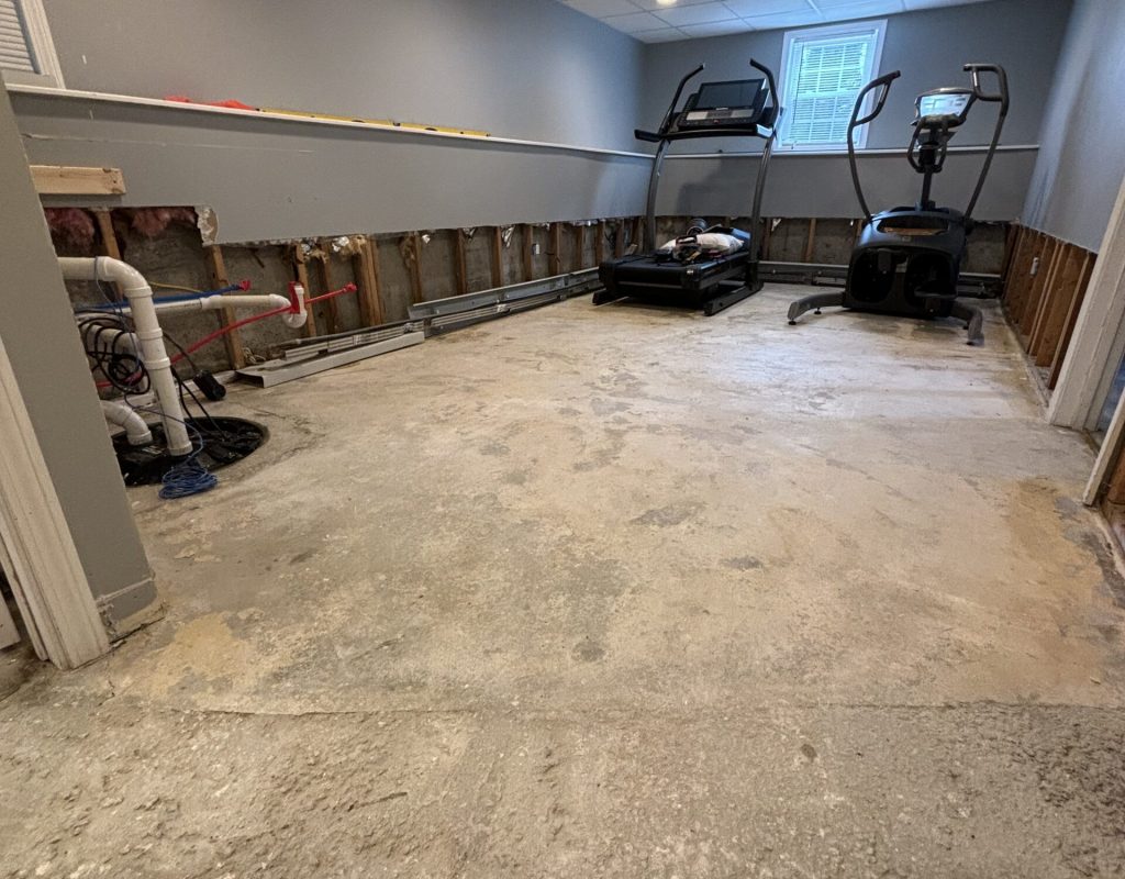 Basement mold Worcester ma Basement mold Worcester ma