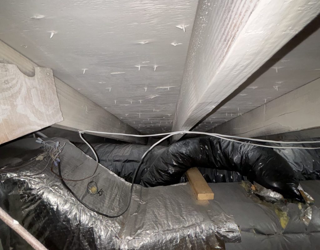 Attic Mold Worcester Ma Attic Mold Worcester Ma